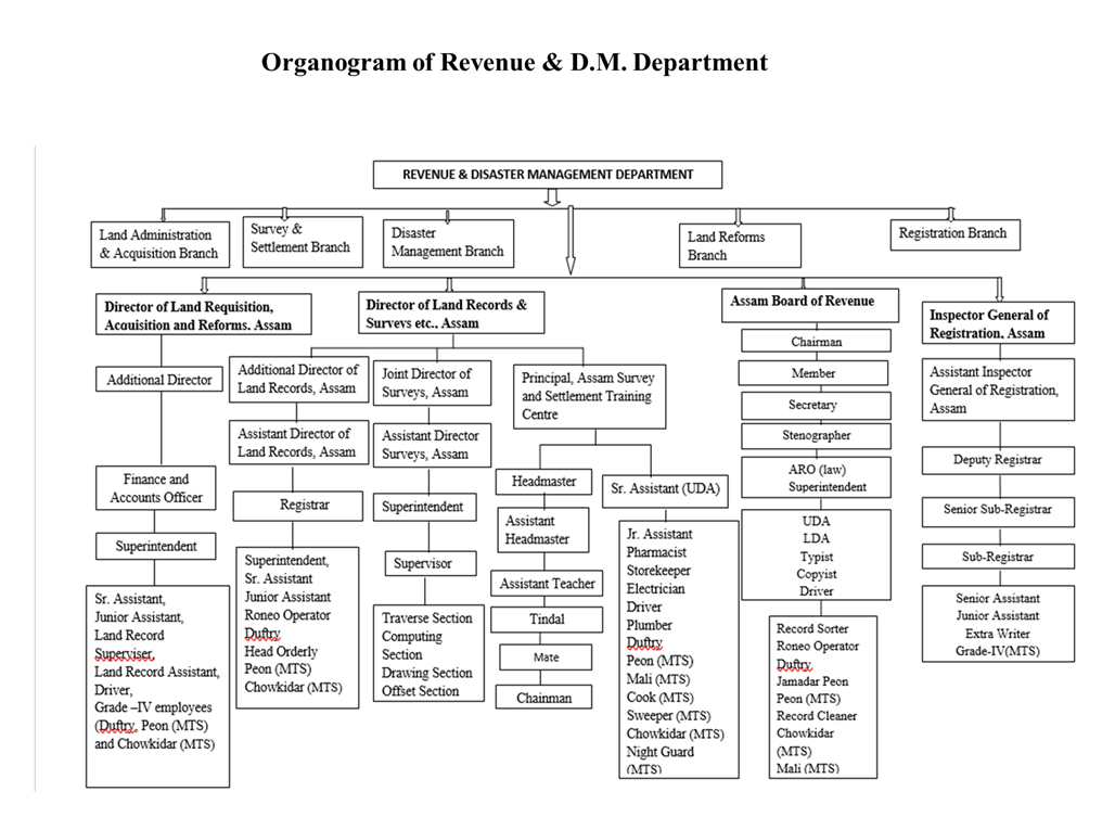 organogram